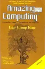Amazing Computing