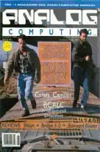 Analog Computing