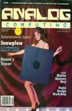 Analog Computing