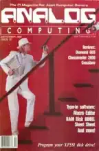 Analog Computing