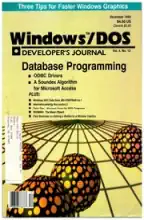 Windows/DOS Developer