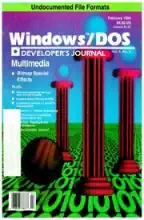 Windows/DOS Developer