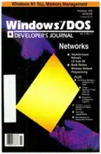 Windows/DOS Developer