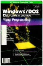 Windows/DOS Developer