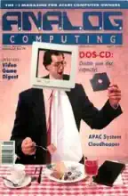 Analog Computing